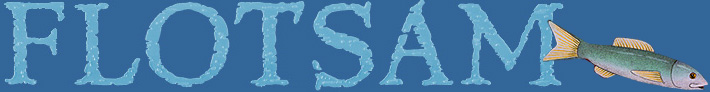 David Wiesner's FLOTSAM